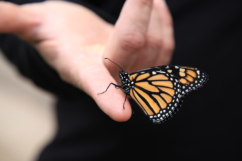 Shedding Skins and This Process of Becoming